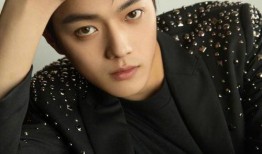 圈内爆料张雨绮和华晨宇,娱乐圈新恋情引热议