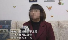 一夜暴富爆料视频大全集,视频大全集深度解析