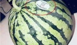 太仓网红吃瓜,揭秘网络红人的幕后故事