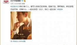 爆料娱乐圈前辈小说,揭秘前辈传奇背后的故事