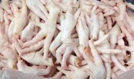 鸡爪养殖爆料视频教程完整版,揭秘视频教程完整版核心内容