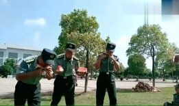 教官爆料视频,爆料视频背后的真相与内幕