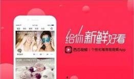 今日爆料短视频,今日热门爆料事件深度解析