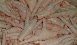 鸡爪养殖爆料视频教程完整版,揭秘视频教程完整版核心内容