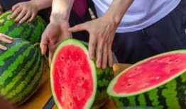 免费热门吃瓜,揭秘娱乐圈幕后真相！