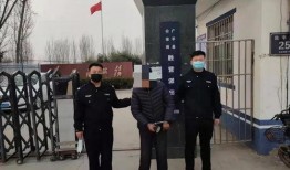 魏县最新事件爆料新闻,揭秘背后真相与影响