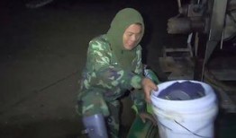 老四农人爆料视频大全,农村生活真实写照大曝光
