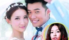 陈赫女友爆料事件视频在线观看,揭秘娱乐圈背后的真相