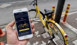 ofo最新爆料,揭秘共享单车巨头背后的真相与困境”