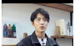 肖战粉丝娱乐爆料视频,揭秘明星幕后生活