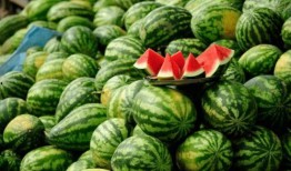 网红同款吃瓜图片,揭秘娱乐圈最新热点事件