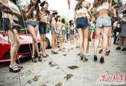 北京美女爆料新闻,揭秘娱乐圈不为人知的幕后故事