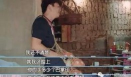 王宝强爆料妻子视频大全,真相大白背后的家庭悲剧
