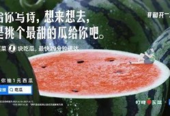 娱乐吃瓜文案去哪里找,吃瓜群众必看的幕后故事
