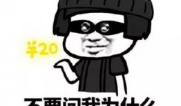 一夜暴富爆料视频大全集,视频大全集深度解析