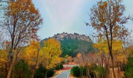 初冬爆料视频在线观看,捕捉冬日里的美好瞬间