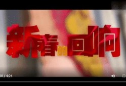 最新回响爆料视频大全,揭秘热点事件背后的真相与内幕