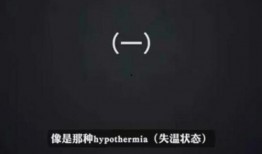 雨神录音爆料视频大全最新,最新爆料视频大全全解析