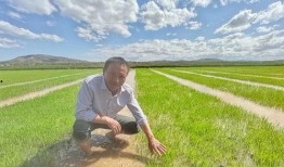 杂交水稻爆料是真的吗视频,杂交水稻爆料视频真实性揭秘