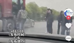增城新塘爆料事件视频播放,视频揭露惊人真相