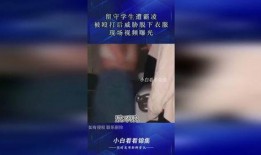 学生衣服爆料视频,学生衣服爆料视频引发热议