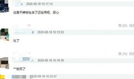 陈赫婚后爆料视频大全最新,揭秘明星夫妻背后的真实生活