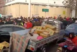 石家庄校外爆料事件最新,揭开校园安全隐忧的真相