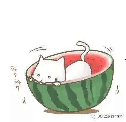 娱乐吃瓜群头像图片