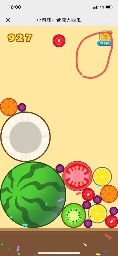 娱乐吃瓜小能手