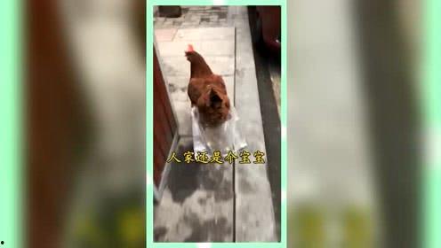 熟悉娱乐吃瓜群众,吃瓜群众眼中的明星幕后故事